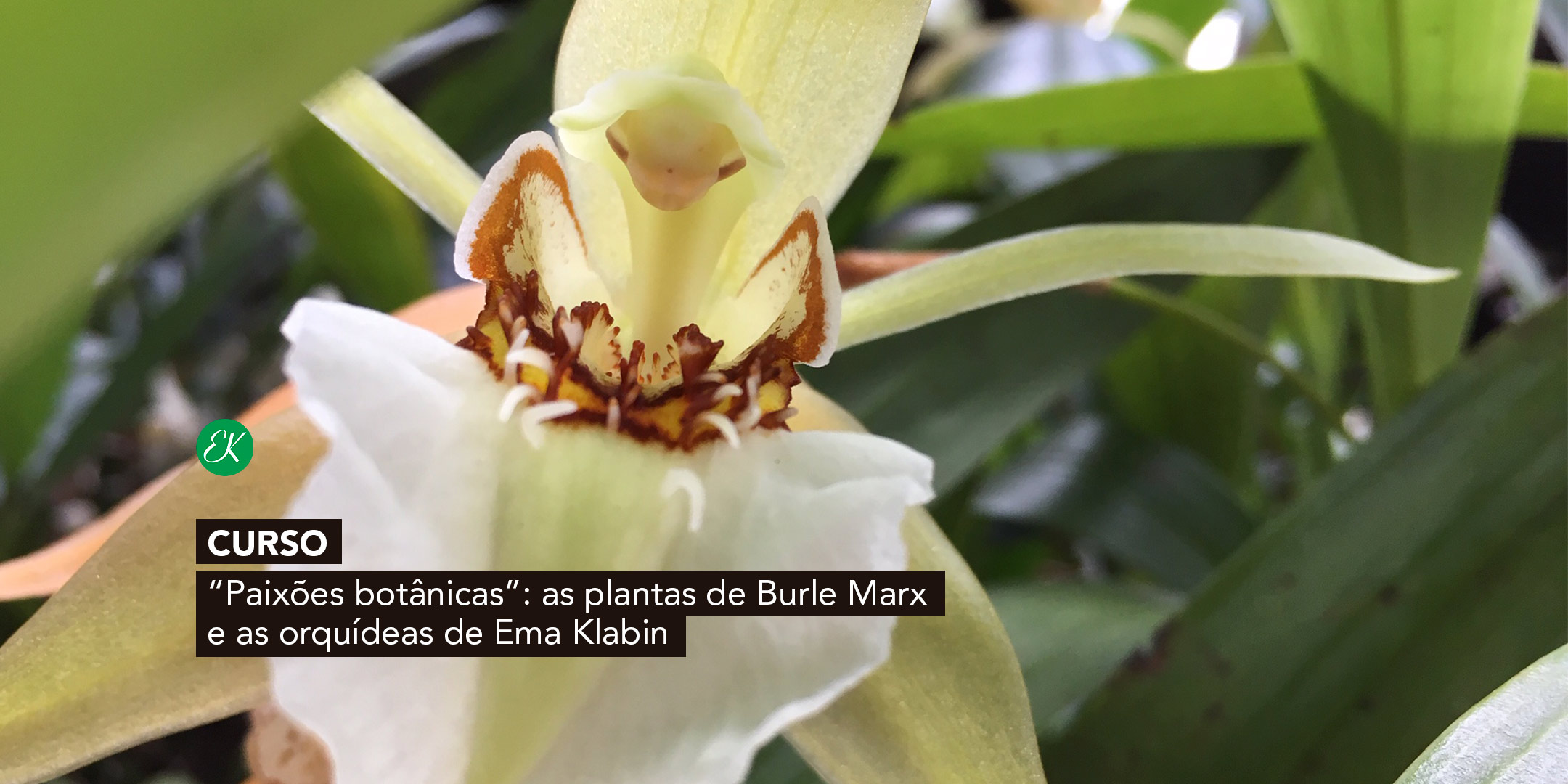 Cursos | Paixões botânicas: As plantas e as orquídeas da casa-museu