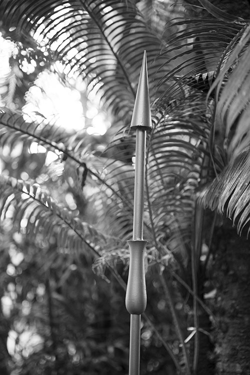 Figura 23. Detalhe de lança instalada na área arborizada do jardim. Foto: Marcelo Arruda.